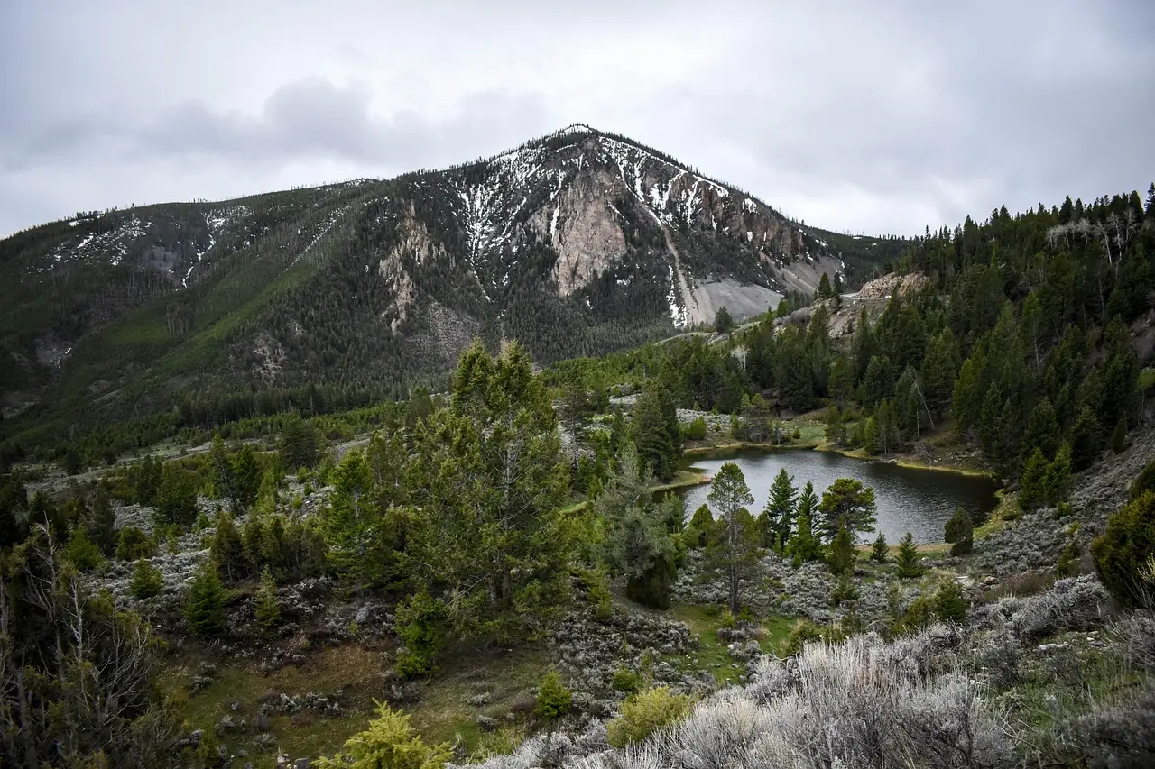 Assembly Archive’s Thistle Creek House is embedded in the Wyoming landscape