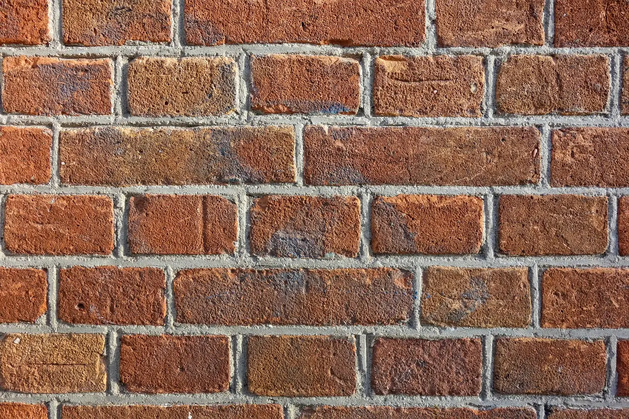 From Asbestos to Fungi: Eight New Materials Made from Waste and Living Matter