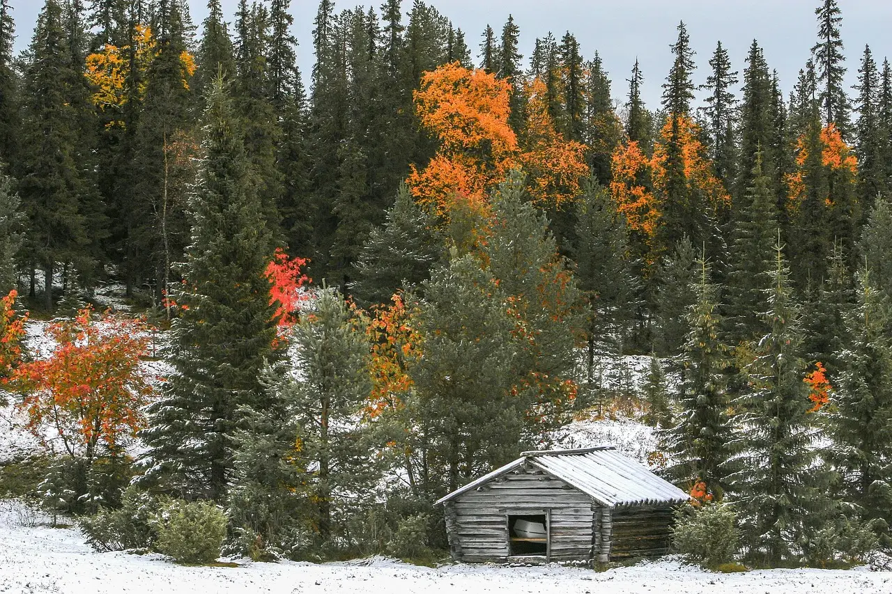 This layered New Hampshire barn conversion is giving us early cabin fever