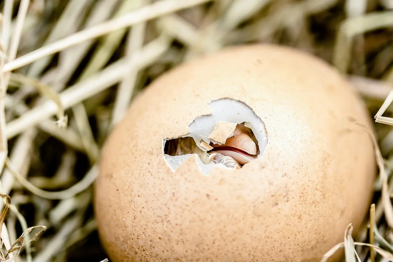 The Eggshell Lamp You Can Rearrange So You Never Buy Another