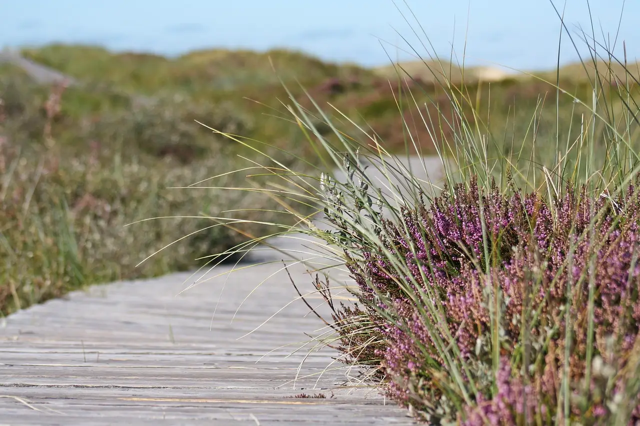 Dune-inspired promenade brings sand and vegetation into comillas’ waterfront